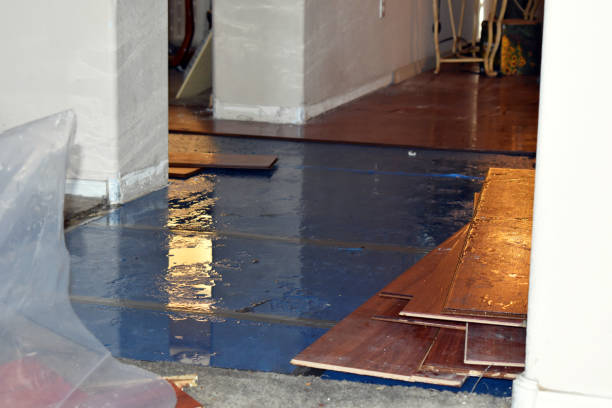 Professional Flood Cleanup technician working in Thornton, WA
